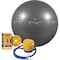 Gofit Professional Grade Core Stability Ball (75cm; Silver) GF-75PRO - alternate 5